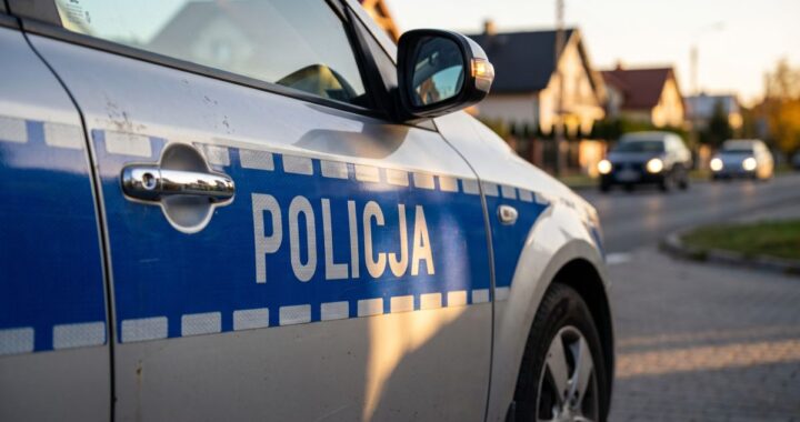 dzia--ania-policjant--w-na-terenie-powiatu-wo--omi-auto-12001